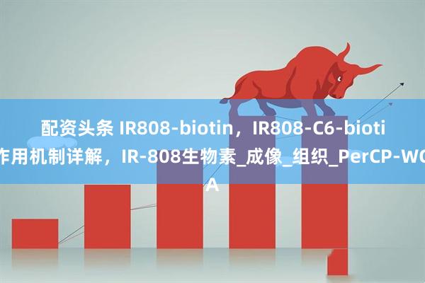配资头条 IR808-biotin，IR808-C6-biotin作用机制详解，IR-808生物素_成像_组织_PerCP-WGA